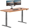 Превью Adjustable Electric Standing Desk — Standing Desk, Vari