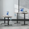 Превью Dual Motor Electric Standing Desk Frame 3 Tier Legs Height Adjustable Handset with USB A+C Ports — Standing Desk, Fromann