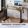 Превью Electric Adjustable Height Standing Desk — Standing Desk, Gamork