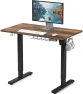 Превью Electric Height Adjustable Sit to Stand Desk with Hanging Hooks and Cable Management — Standing Desk, SHW