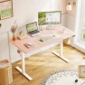 Превью Electric Height Adjustable Standing Desk, 48 Inch Pink Computer Desk for Women Girls, Sit Stand Table for Home, Office,... — Standing Desk, OffiGo