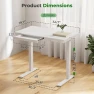 Превью Electric Standing Desk with Drawer, 35" x 20" Whole Piece Tabletop, Height Adjustable Desk with Storage & USB Ports — Standing Desk, JYLH JOYSEEKER