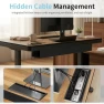 Превью Electric Standing Desk with Drawer and Wireless Charging — Standing Desk, ERGO COLLECT