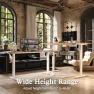 Превью Electric Standing Desk — Standing Desk, Monomi