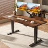 Превью Solid Wood Dual Motor Standing Desk — Standing Desk, FLEXISPOT
