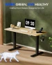 Превью Solid Wood Standing Desk — Standing Desk, FLEXISPOT