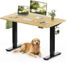 Превью Solid Wood Standing Desk — Standing Desk, FLEXISPOT