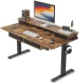 Превью 48 x 24 Inch Height Adjustable Electric Standing Desk with Double Drawer — Standing Desk, FEZIBO