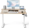Превью 48 x 24 Inch Height Adjustable Electric Standing Desk with Double Drawer — Standing Desk, FEZIBO