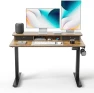 Превью 48 x 24 Inch Height Adjustable Electric Standing Desk with Double Drawer — Standing Desk, FEZIBO