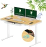 Превью 55" Bamboo Standing Desk, Dual Motor 3 Stages Adjustable Height Electric Computer Workstation with Wireless Charging,... — Standing Desk, FLEXISPOT