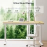 Превью 55" Bamboo Standing Desk, Dual Motor 3 Stages Adjustable Height Electric Computer Workstation with Wireless Charging,... — Standing Desk, FLEXISPOT