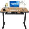 Превью 55" Bamboo Standing Desk, Dual Motor 3 Stages Adjustable Height Electric Computer Workstation with Wireless Charging,... — Standing Desk, FLEXISPOT