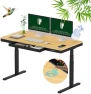 Превью 55" Bamboo Standing Desk, Dual Motor 3 Stages Adjustable Height Electric Computer Workstation with Wireless Charging,... — Standing Desk, FLEXISPOT