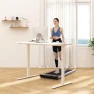 Превью Dual Motor Electric Standing Desk 48 x 24 — Standing Desk, FLEXISPOT