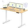 Превью Dual Motor Electric Standing Desk 48 x 24 — Standing Desk, FLEXISPOT