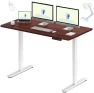 Превью Dual Motor Electric Standing Desk 48 x 24 — Standing Desk, FLEXISPOT