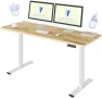 Превью Dual Motor Electric Standing Desk 48 x 24 — Standing Desk, FLEXISPOT