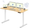Превью Dual Motor Electric Standing Desk 48 x 24 — Standing Desk, FLEXISPOT