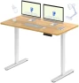 Превью Dual Motor Electric Standing Desk 48 x 24 — Standing Desk, FLEXISPOT