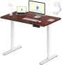Превью Dual Motor Electric Standing Desk 48 x 24 — Standing Desk, FLEXISPOT