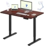 Превью Dual Motor Electric Standing Desk 48 x 24 — Standing Desk, FLEXISPOT