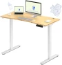 Превью Dual Motor Electric Standing Desk 48 x 24 — Standing Desk, FLEXISPOT