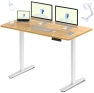 Превью Dual Motor Electric Standing Desk 48 x 24 — Standing Desk, FLEXISPOT