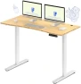 Превью Dual Motor Electric Standing Desk 48 x 24 — Standing Desk, FLEXISPOT