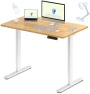 Превью Dual Motor Electric Standing Desk 48 x 24 — Standing Desk, FLEXISPOT