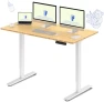 Превью Dual Motor Electric Standing Desk 48 x 24 — Standing Desk, FLEXISPOT