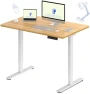 Превью Dual Motor Electric Standing Desk 48 x 24 — Standing Desk, FLEXISPOT