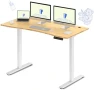 Превью Dual Motor Electric Standing Desk 48 x 24 — Standing Desk, FLEXISPOT