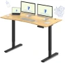 Превью Dual Motor Electric Standing Desk 48 x 24 — Standing Desk, FLEXISPOT