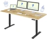 Превью Dual Motor Electric Standing Desk 48 x 24 — Standing Desk, FLEXISPOT