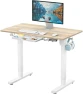Превью Electric Height Adjustable Standing Desk with Drawer, Memory Preset and Cable Management Tray — Standing Desk, SHW