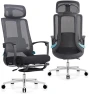 Превью Ergonomic Office Chair with Footrest & Adjustable Lumbar Massager — Smart Chairs, COTYFLY