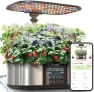 Превью Hydroponics Growing System Kit — Indoor Garden, LETPOT
