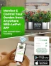 Превью Hydroponics Growing System Kit — Indoor Garden, LETPOT