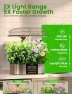Превью Hydroponics Growing System Kit — Indoor Garden, LETPOT