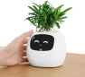 Превью Ivy Interactive AI Desk Companion — Robot Pet, PLANTSIO