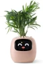 Превью Ivy Interactive AI Desk Companion — Robot Pet, PLANTSIO