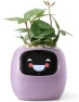 Превью Ivy Interactive AI Desk Companion — Robot Pet, PLANTSIO