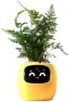 Превью Ivy Interactive AI Desk Companion — Robot Pet, PLANTSIO