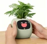 Превью Ivy Interactive AI Desk Companion — Robot Pet, PLANTSIO