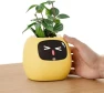 Превью Ivy Interactive AI Desk Companion — Robot Pet, PLANTSIO