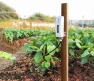 Превью Soil Moisture Sensor with LCD Display and 1m PVC Wire Probe — Soil Moisture Sensor, ECOWITT