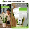 Превью WiFi Solar Auto Watering System with Two Smart Digital Soil Sensors — Indoor Garden, RainPoint