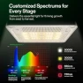 Превью All-in-One Smart Grow Box — Indoor Garden, VGrow