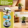 Превью Smart Plant Pot with Visual Display — Soil Moisture Sensor, PLANTSIO